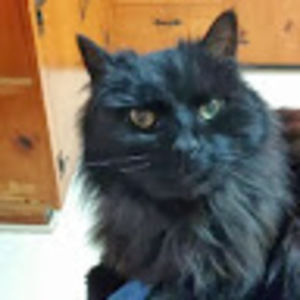 Meet your Posher, Stacy